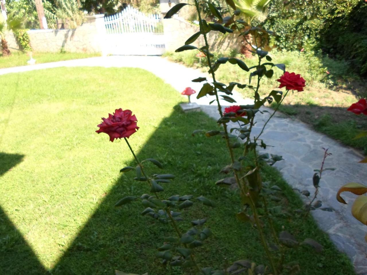 Hotel Villa Basil Циливи Екстериор снимка